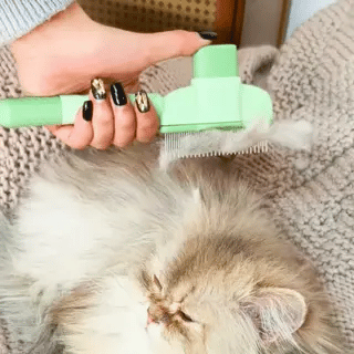 Lura™ Peigne Anti-Poils Massant